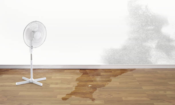 Best Water damage restoration cost  in Toppers, OK